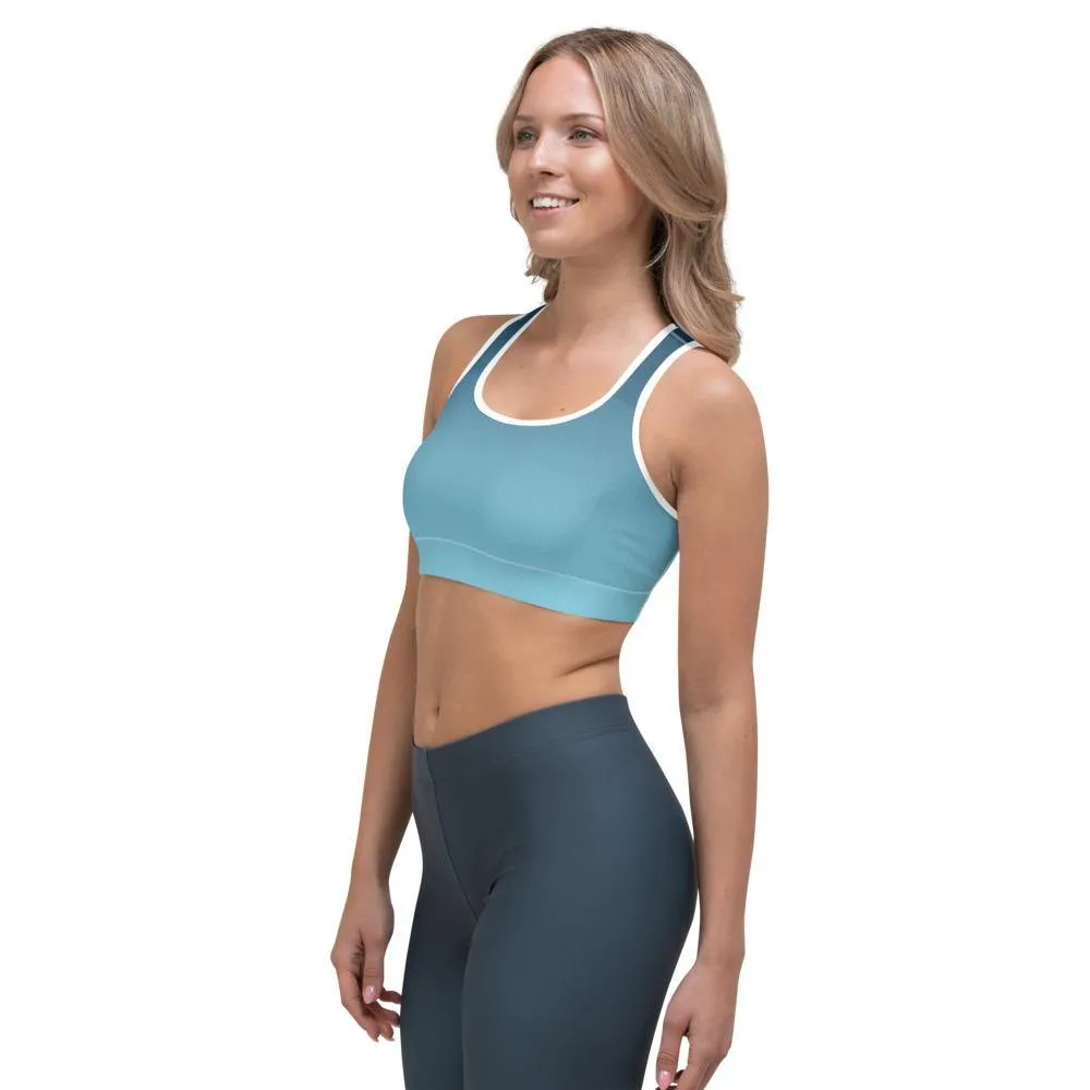 Arctic Sky Ombre Sports Bra