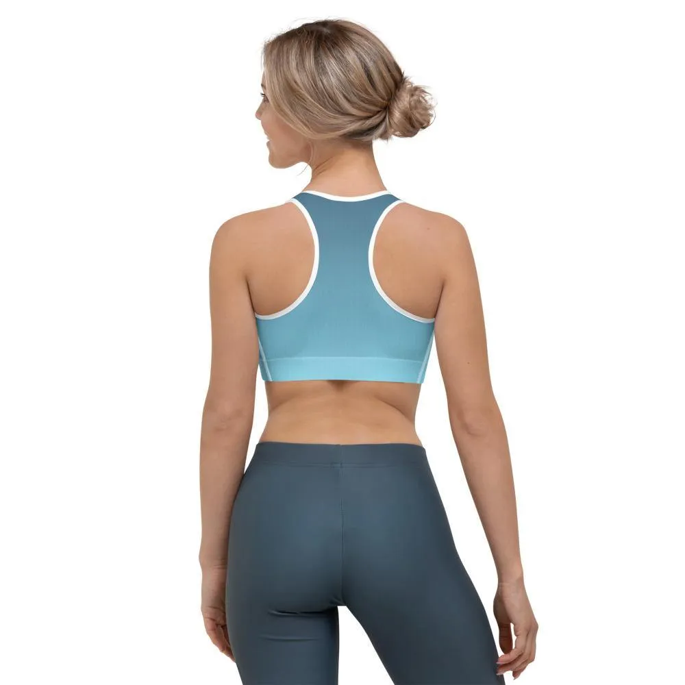 Arctic Sky Ombre Sports Bra