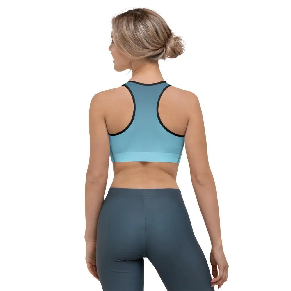 Arctic Sky Ombre Sports Bra