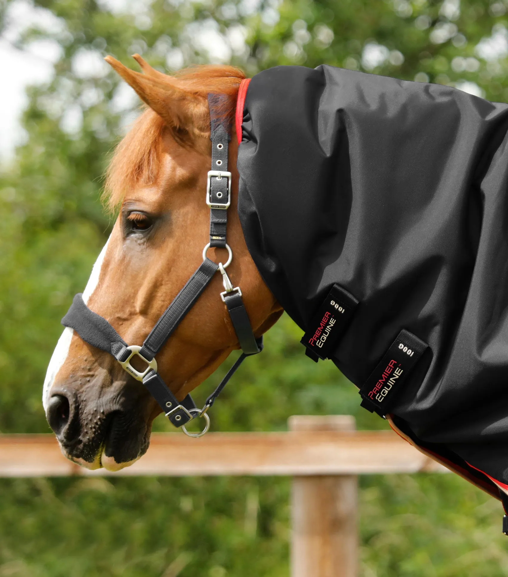 Buster 100g Turnout Rug with Snug-Fit Neck Cover Black