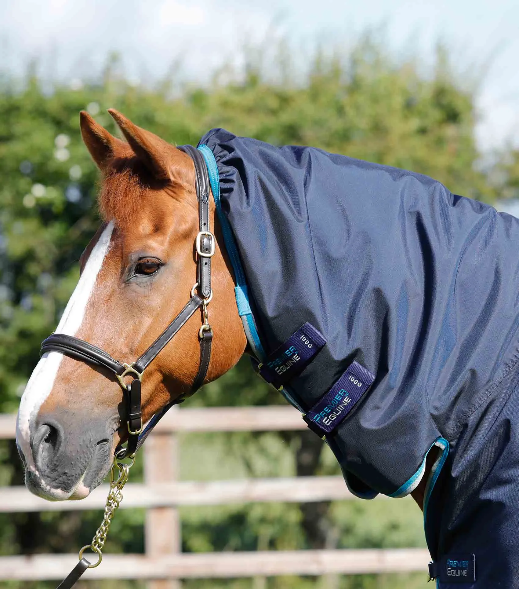 Buster Storm 100g Combo Turnout Rug with Snug-Fit Neck Navy