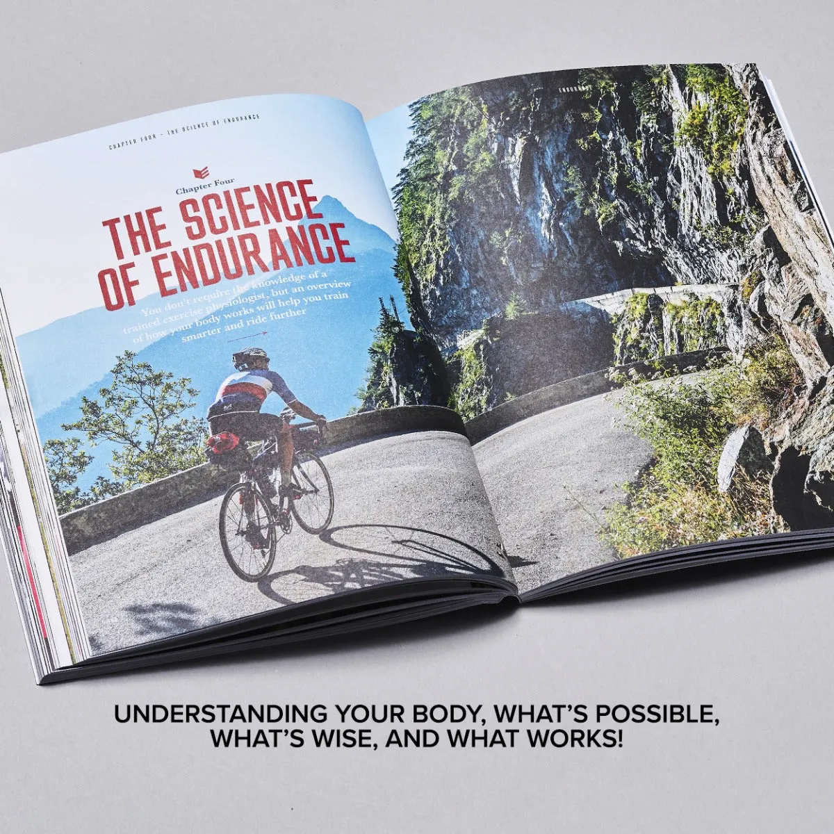 Endurance: How to Cycle Further by Mark Beaumont