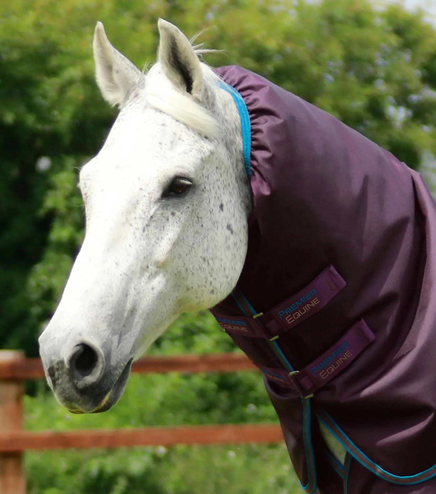 Titan 200g Turnout Rug with Snug-Fit Neck Cover Purple