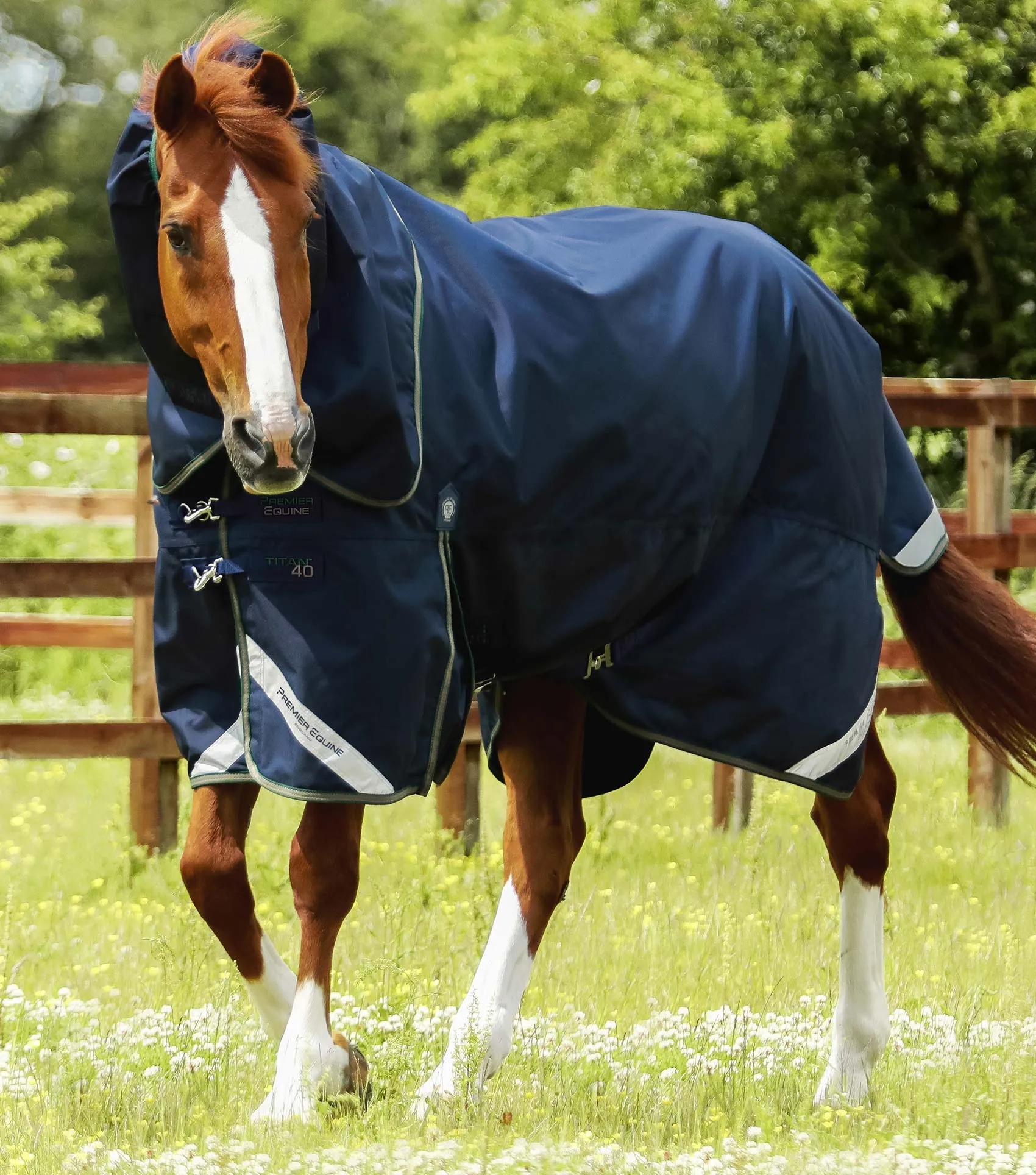 Titan 40g Turnout Rug with Snug-Fit Neck Cover Navy